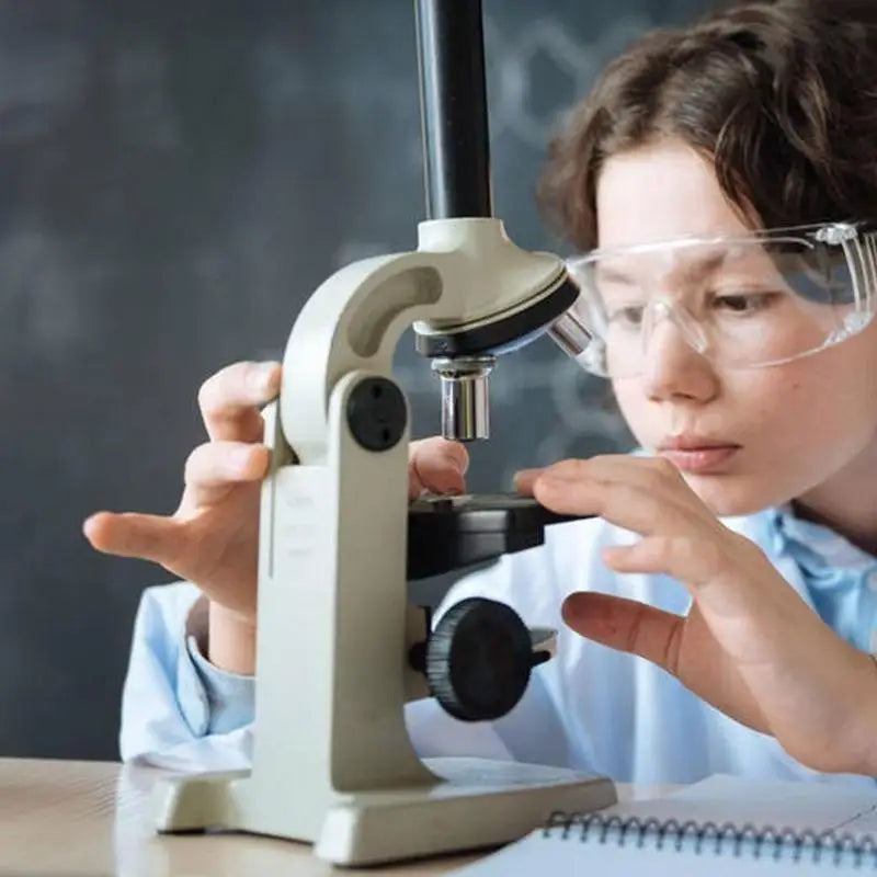 Real Butterfly  in box