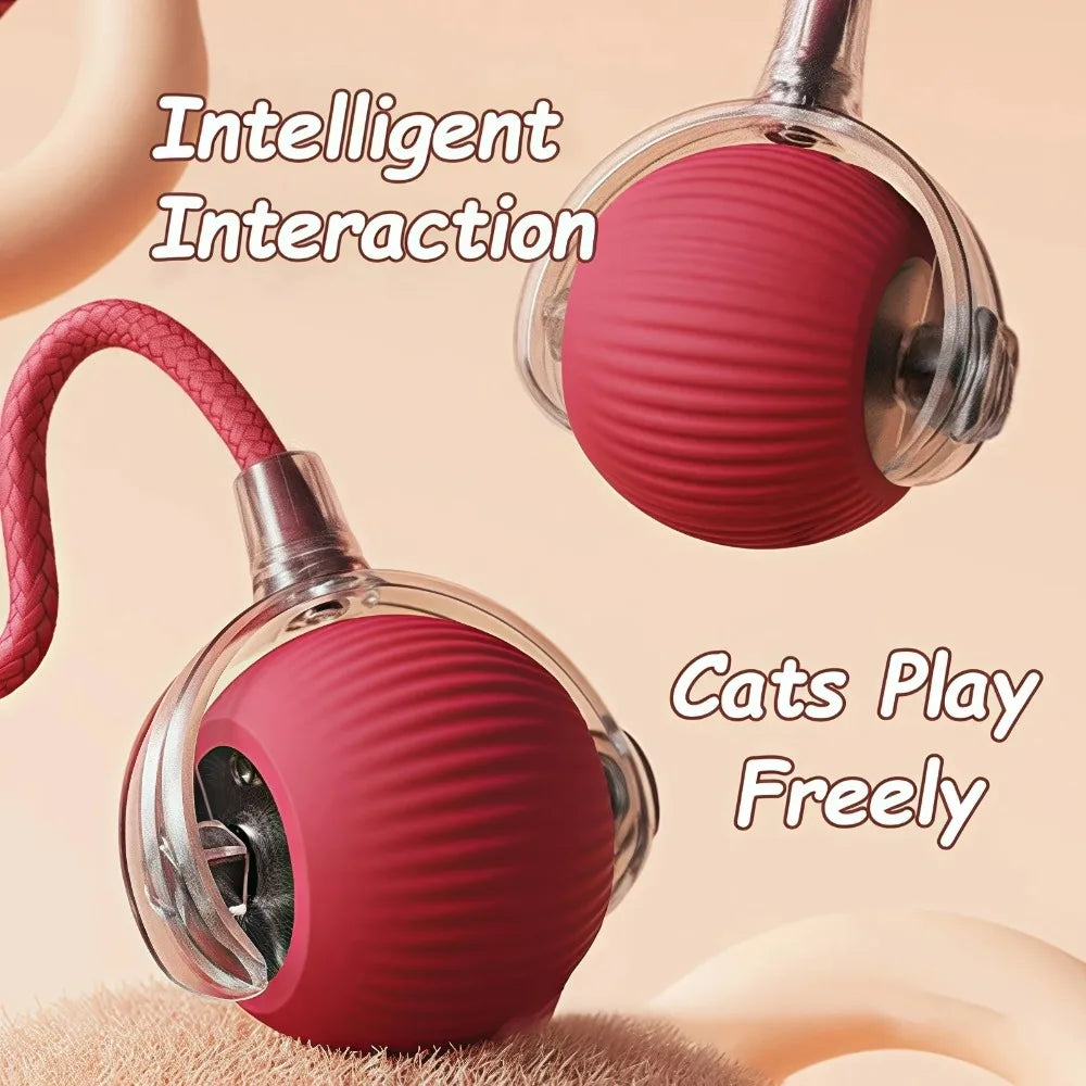 New Cat Interactive Ball Toy Automatic Rolling Ball - Faux Tail Rechargeable Smart Pet Electric Toy Dog