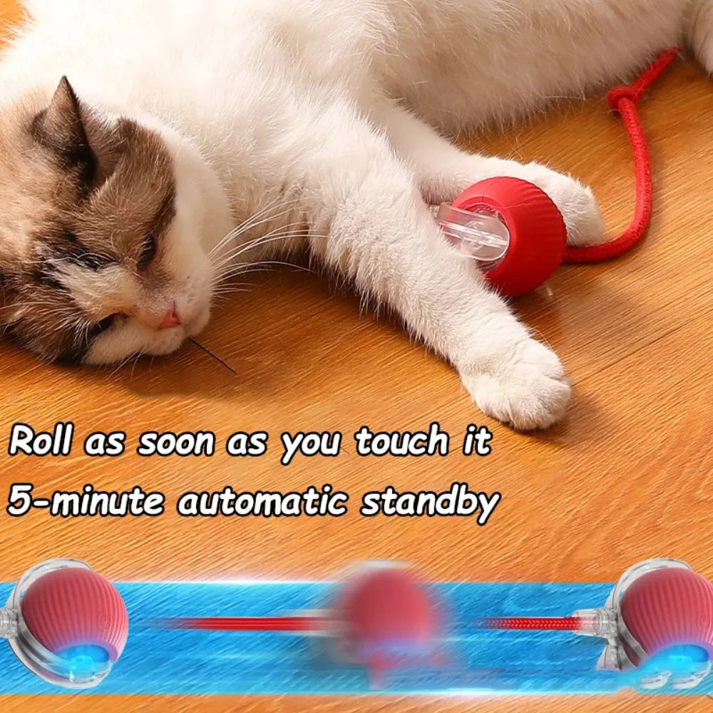 New Cat Interactive Ball Toy Automatic Rolling Ball - Faux Tail Rechargeable Smart Pet Electric Toy Dog