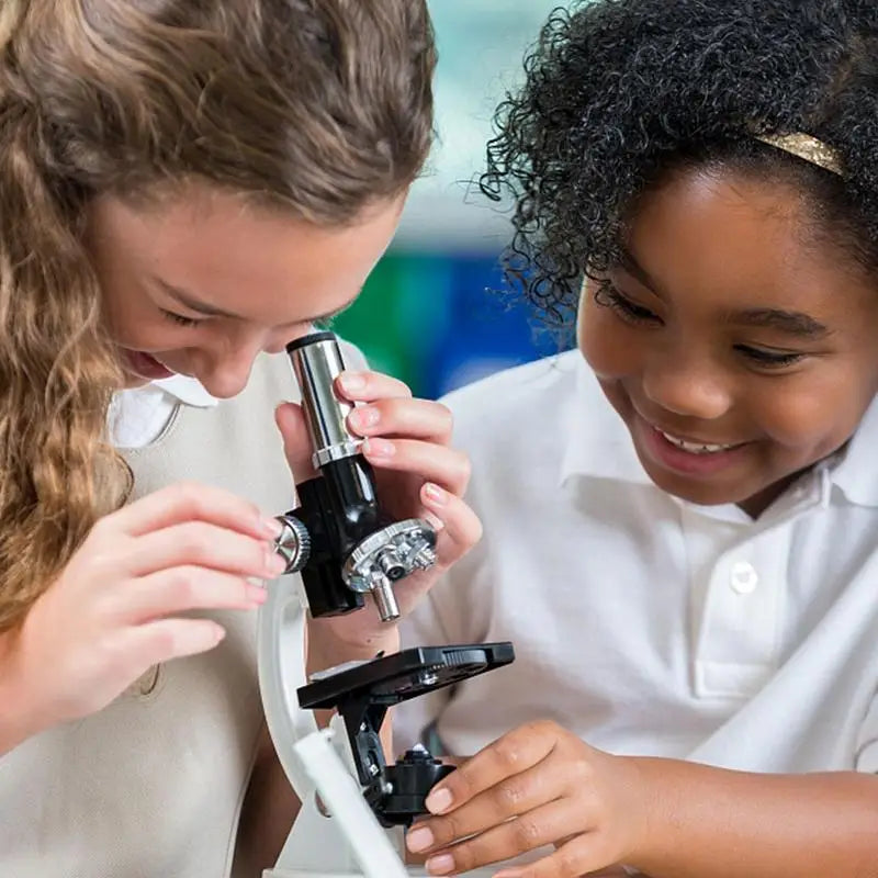 Real Butterfly  in box