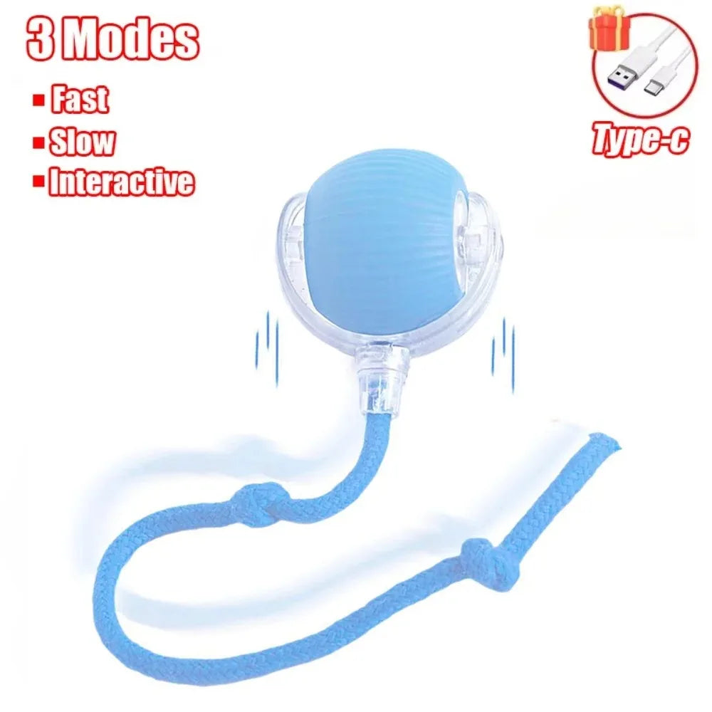 New Cat Interactive Ball Toy Automatic Rolling Ball - Faux Tail Rechargeable Smart Pet Electric Toy Dog