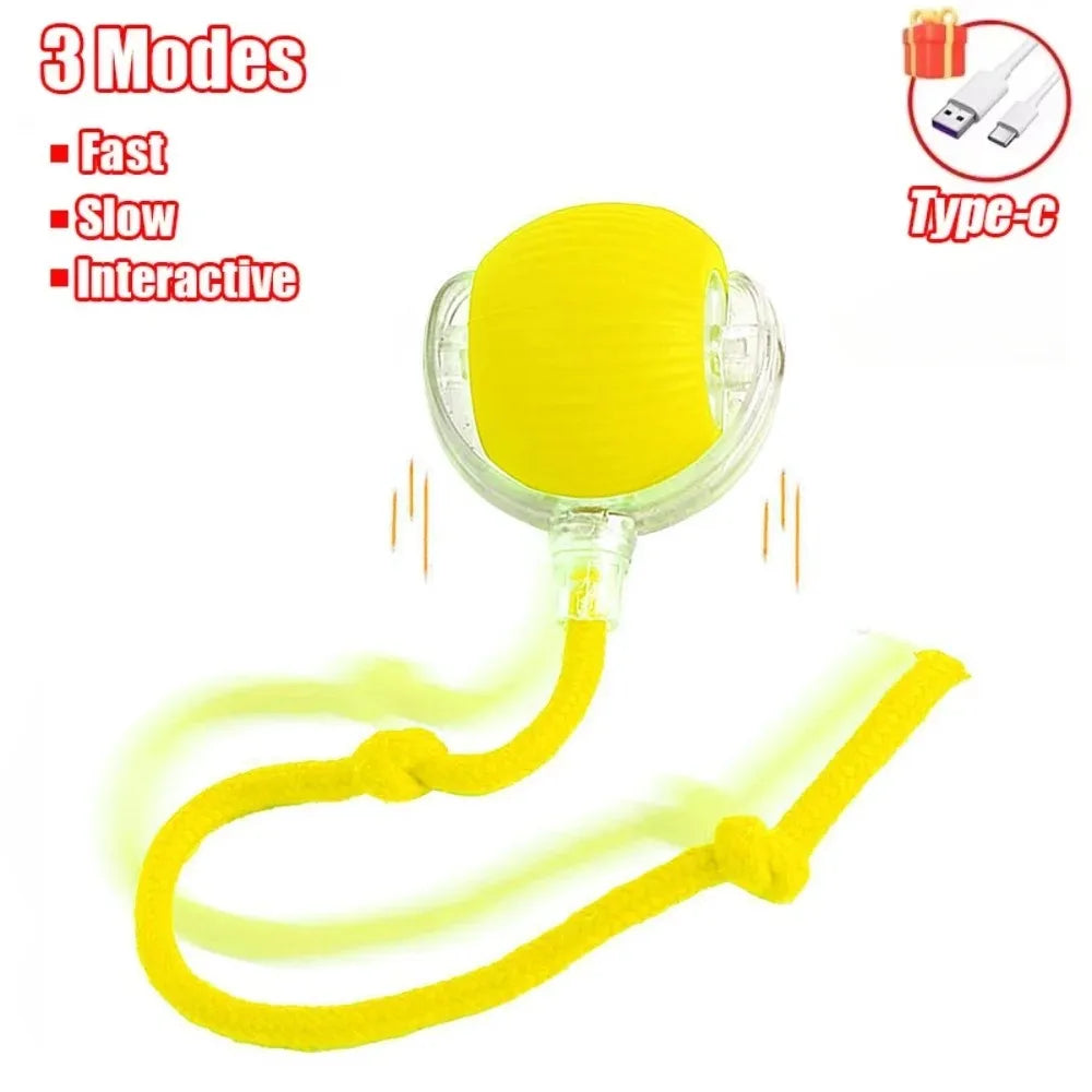 New Cat Interactive Ball Toy Automatic Rolling Ball - Faux Tail Rechargeable Smart Pet Electric Toy Dog